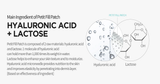 Wellage - Petite Fill Patch Hyaluronic and Lactose Acid